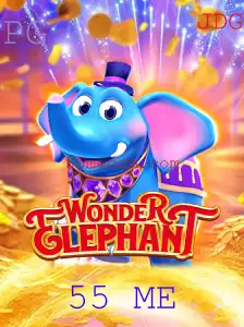 Descubra o Universo Envolvente de WonderElephant e Sua Inovadora Mecânica 55 ME